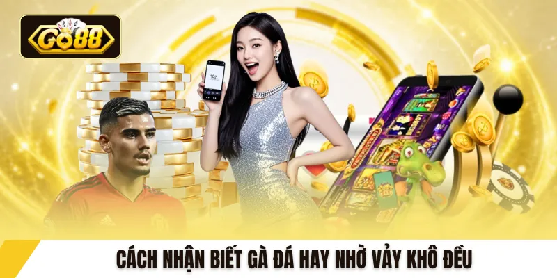 Cách nhận biết gà đá hay nhờ vảy khô đều