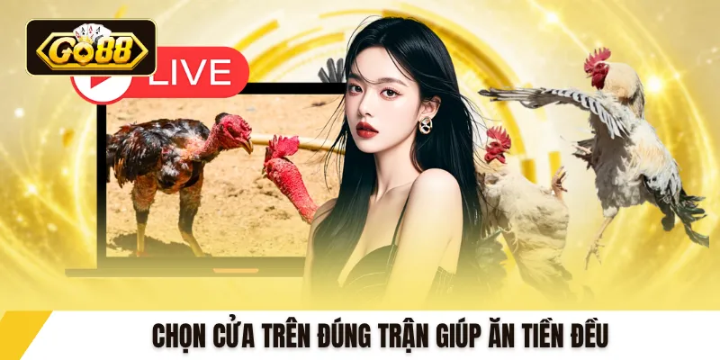 Chọn cửa trên đúng trận giúp ăn tiền đều