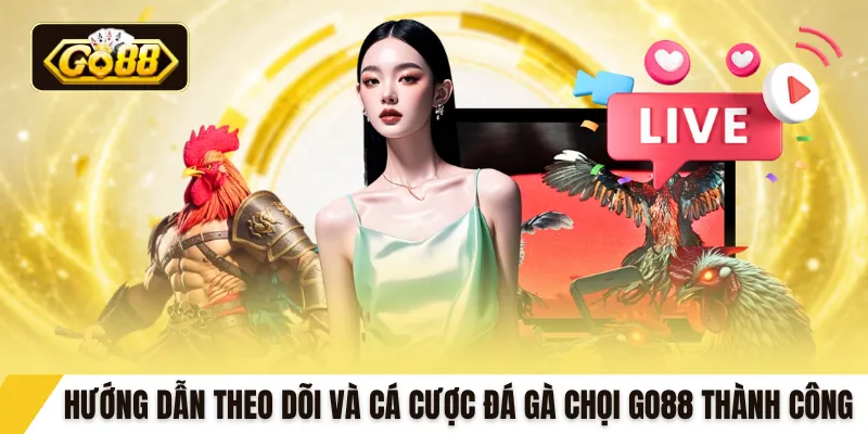 Hướng dẫn theo dõi và cá cược đá gà chọi GO88 thành công