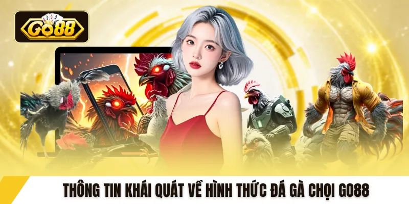 Thông tin khái quát về hình thức đá gà chọi GO88