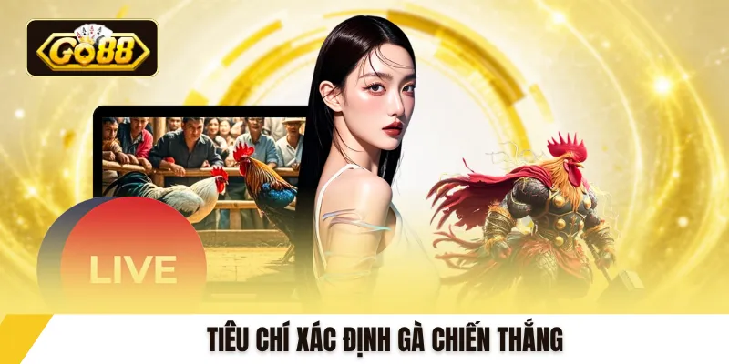 Tiêu chí xác định gà chiến thắng