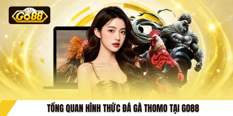 Tổng quan hình thức đá gà Thomo tại GO88